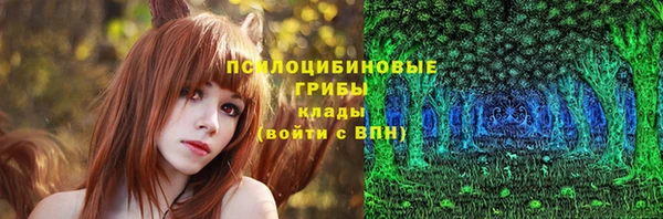гашик Баксан